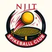 Spikeball Club